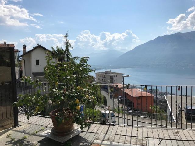 Ferienwohnung Casa Franceschini Locarno Exterior foto